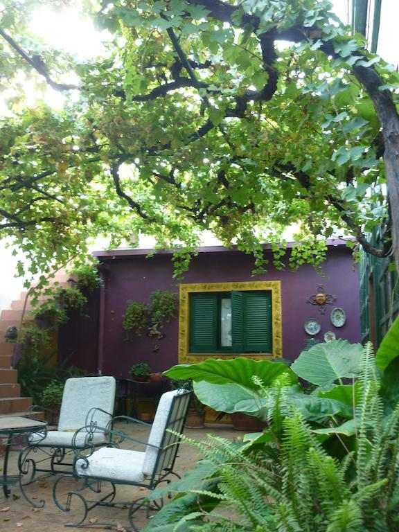 Hotel Mallorca Mendoza Ngoại thất bức ảnh